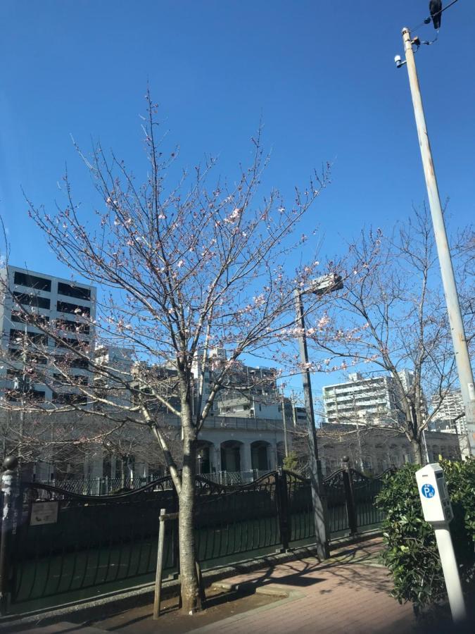 Hotel Share House On The Hill Yokohama  Exterior foto